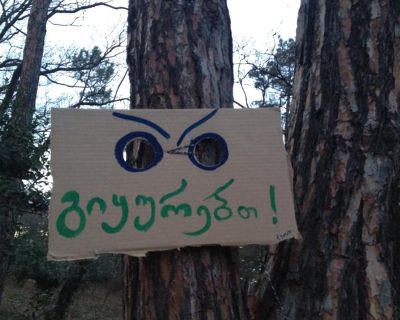 ვაკის-პარკი-ნათია-მიქელაძე1